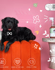 Pee+Stain+Odor Destroyer (Fabric+Carpet)