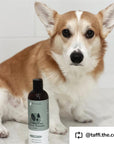 Dry Skin & Coat Shampoo for Dogs (Cedar)