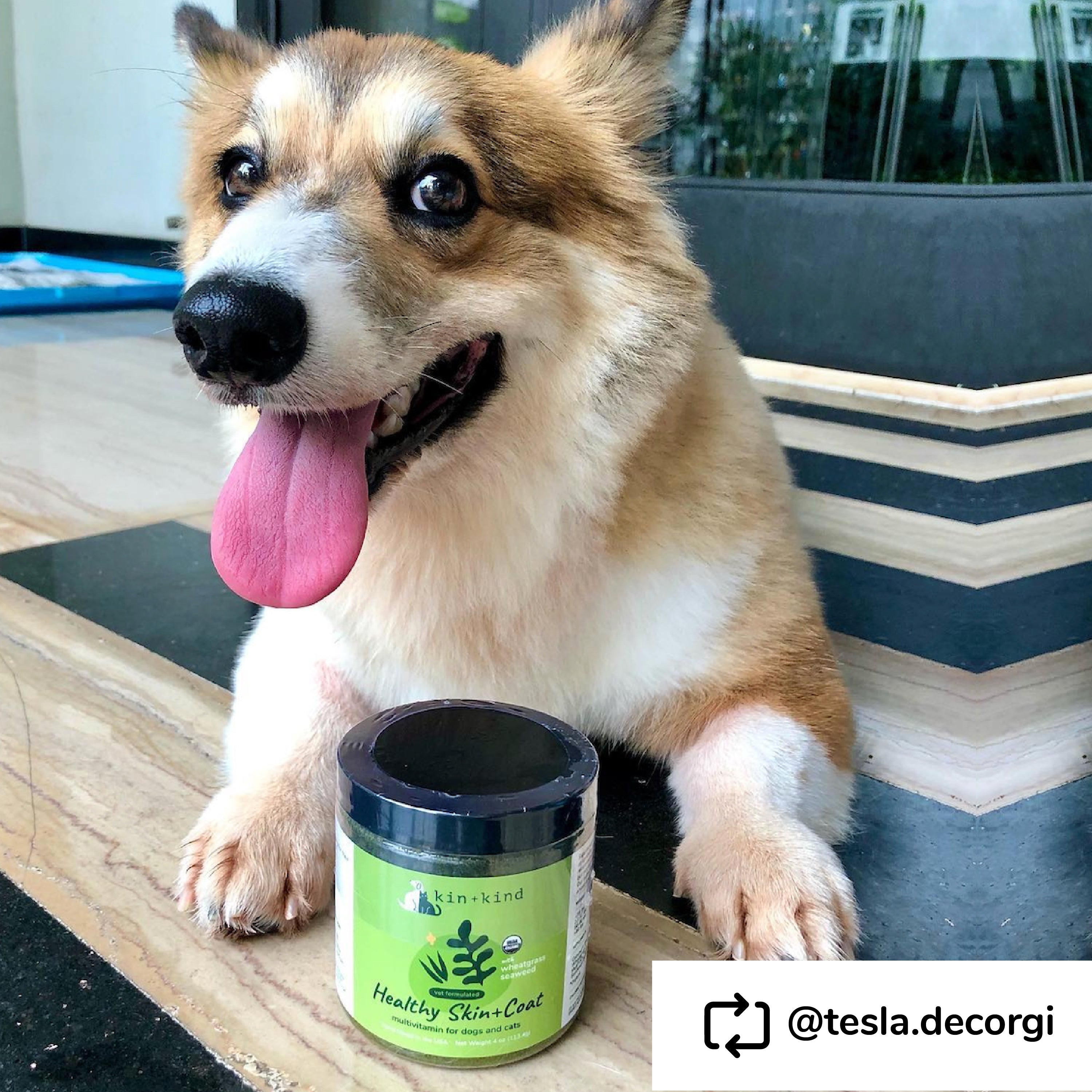 Organic Healthy Skin & Coat Supplement