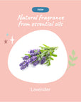 Oatmeal Shampoo for Dogs & Cats (Lavender)