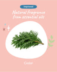 Dry Skin & Coat Shampoo for Dogs (Cedar)