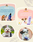 Dog Grooming Bundle