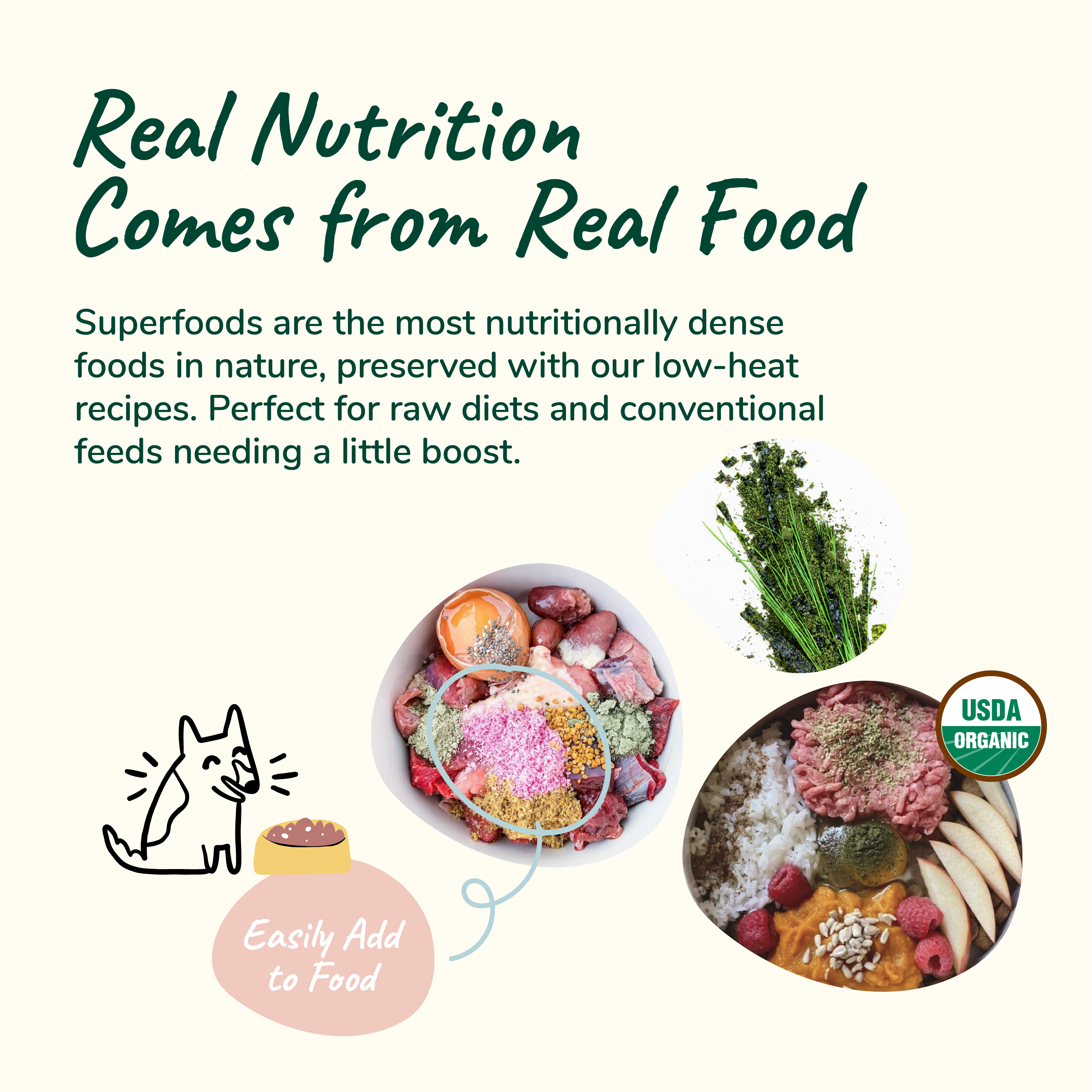 Organic Healthy Skin & Coat Supplement