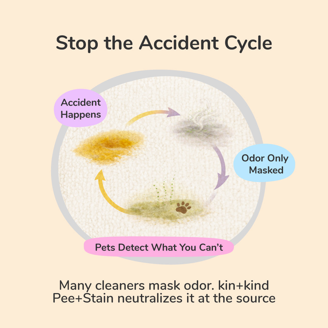 Pee+Stain+Odor Destroyer (Hardwood+Floor)