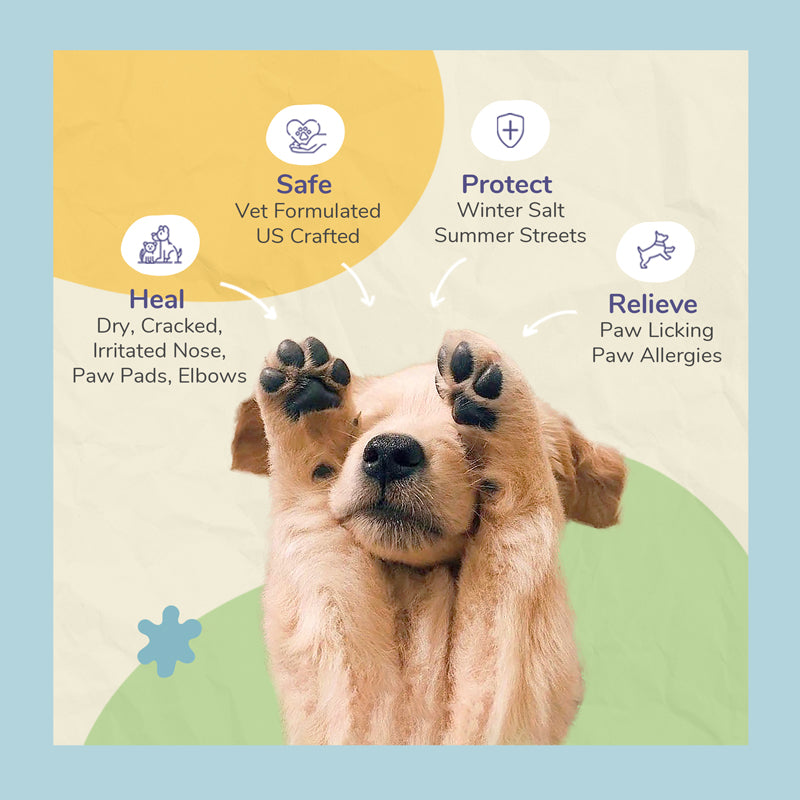 Nose Paw Moisturizer For Dry Skin on Dogs and Cats kin kind Canada Natural Organic Pet Grooming Wellness