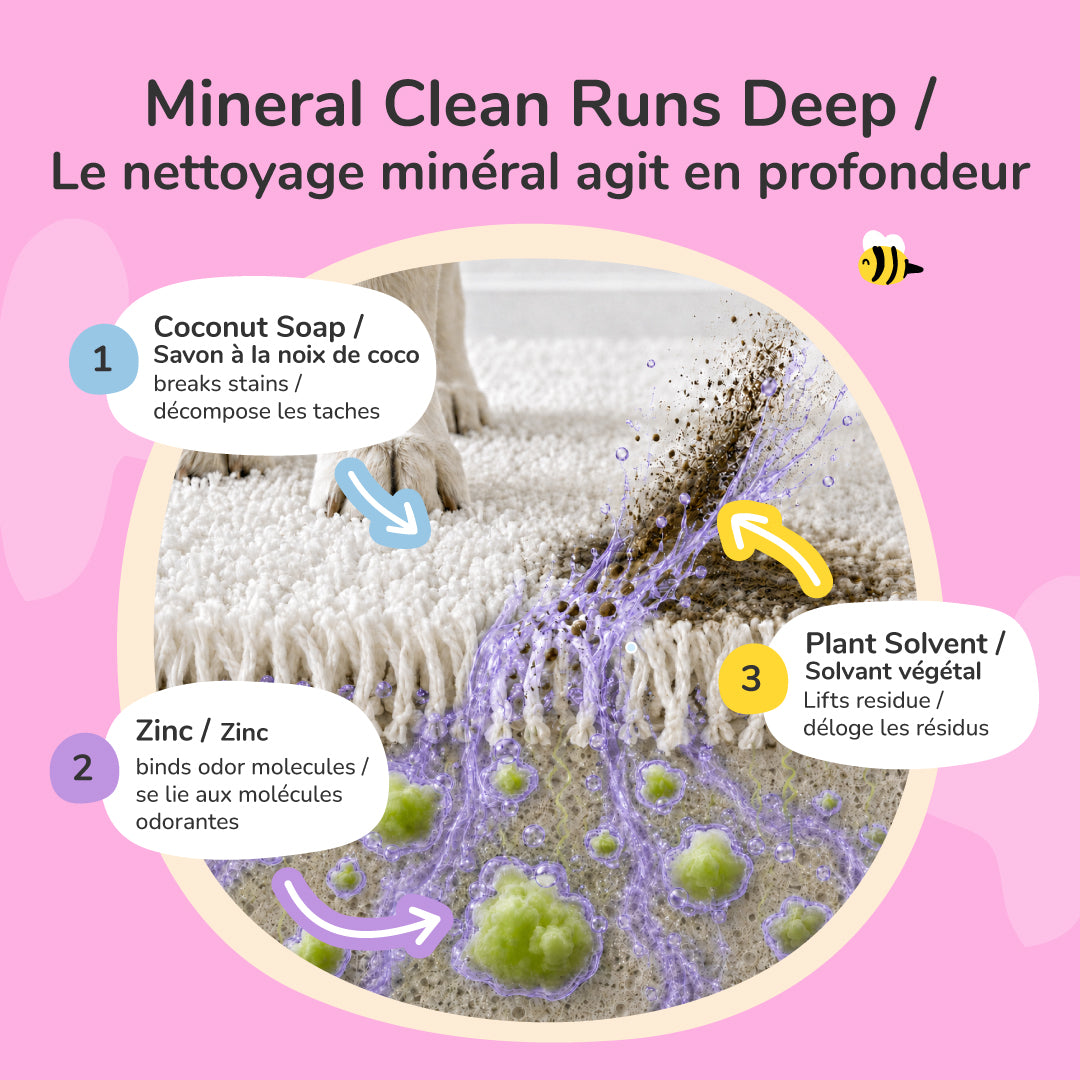 Pee+Stain+Odor Destroyer (Fabric+Carpet)