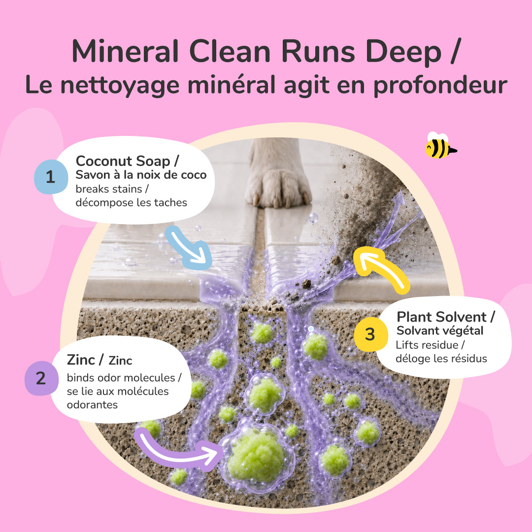 Pee+Stain+Odor Destroyer (Multi-Surface) - Citrus