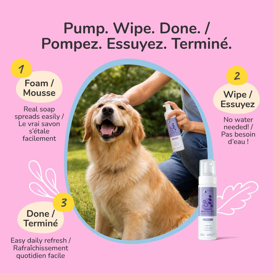 Calming Lavender Waterless Bath for Dogs &amp; Cats