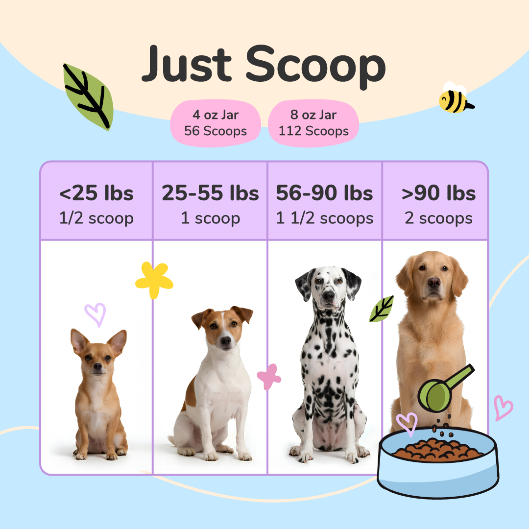 Superfood Supplement Set
