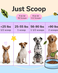 Superfood Supplement Set
