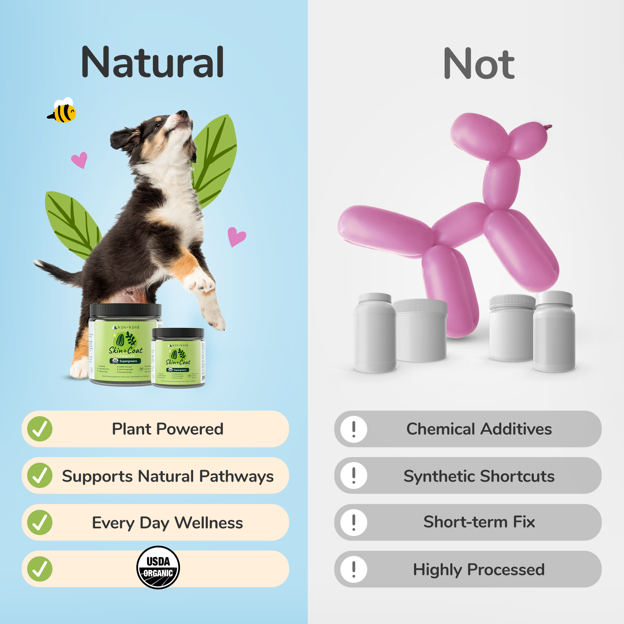 Organic Healthy Skin+Coat Supplement