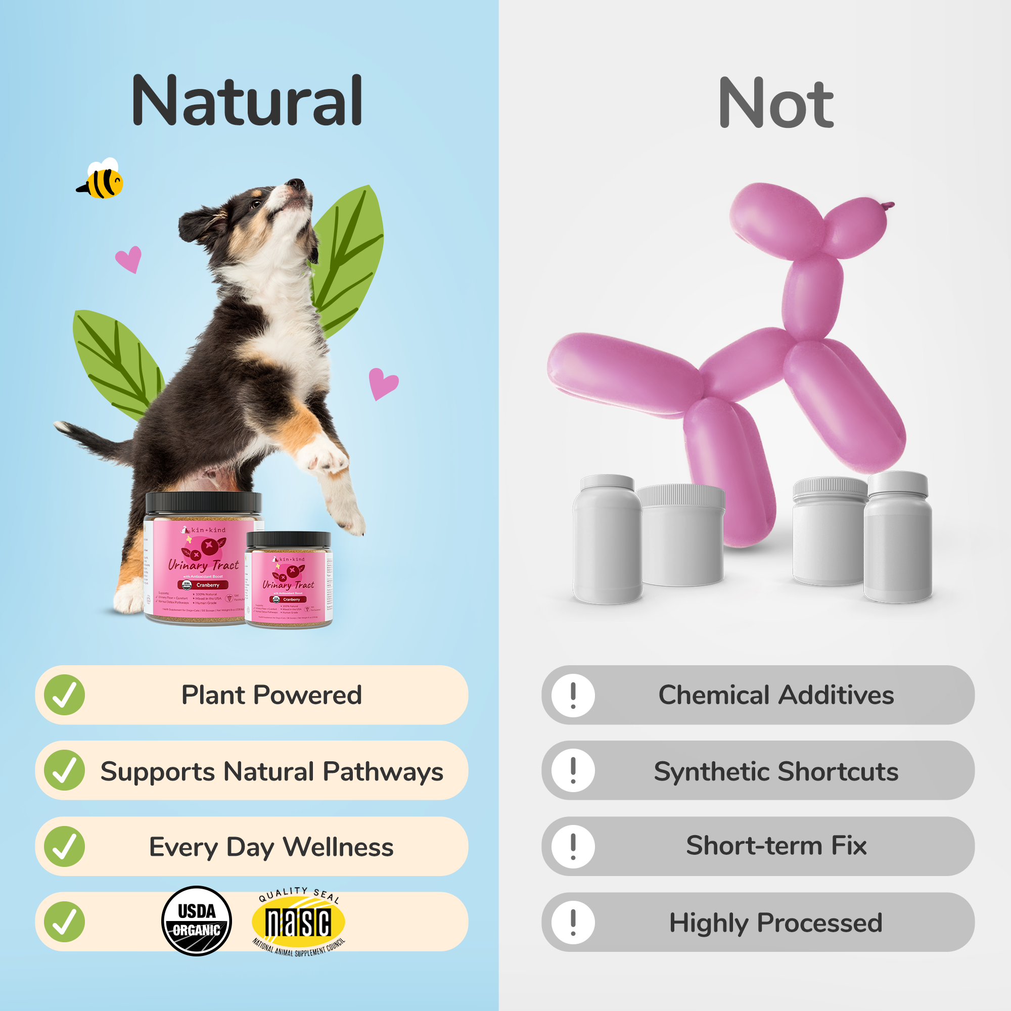 Organic Healthy Immunity Supplement