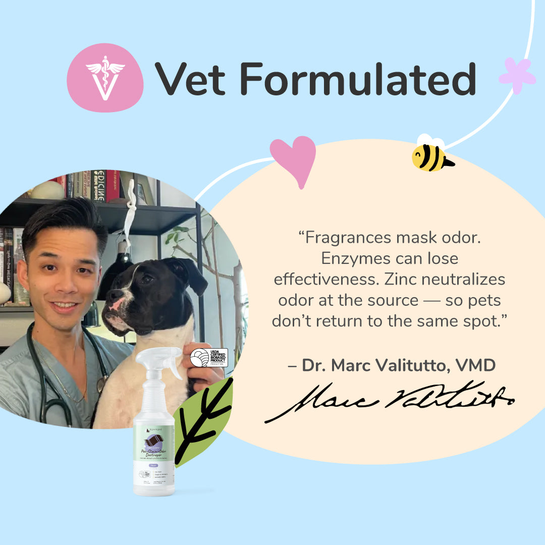 Pee+Stain+Odor Destroyer (Fabric+Carpet)