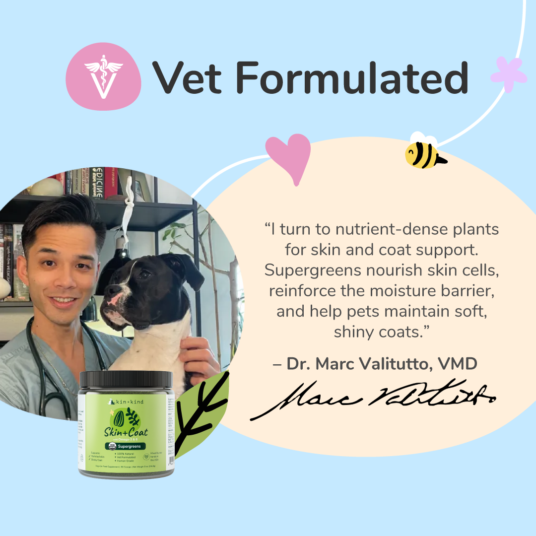 Organic Healthy Skin+Coat Supplement