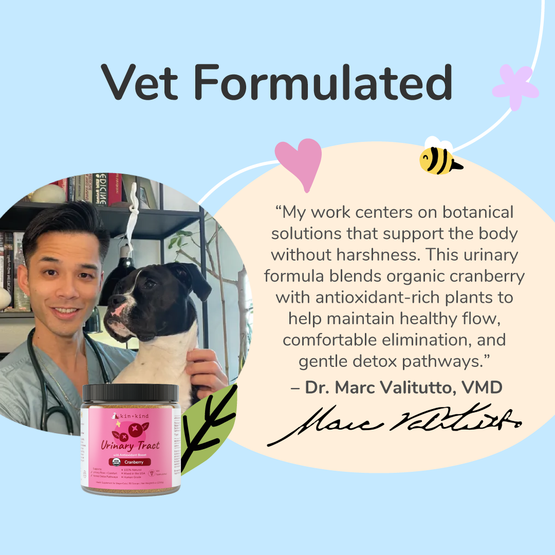 Organic Healthy Immunity Supplement