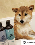 Itchy Dog Shampoo (Tea Tree+Grapefruit)