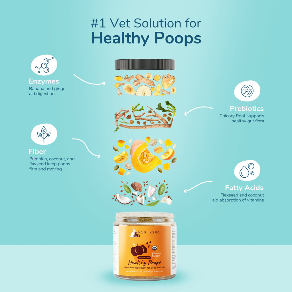 Fiber Supplements for Dogs and Cats | Healthy Poops, Stomach & Bowel ...