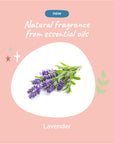 Calming Lavender Waterless Bath for Dogs & Cats